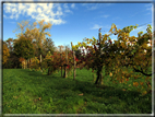 foto Colli Asolani in Autunno